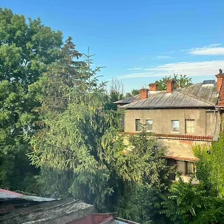 Loft Villa Floreasca-3