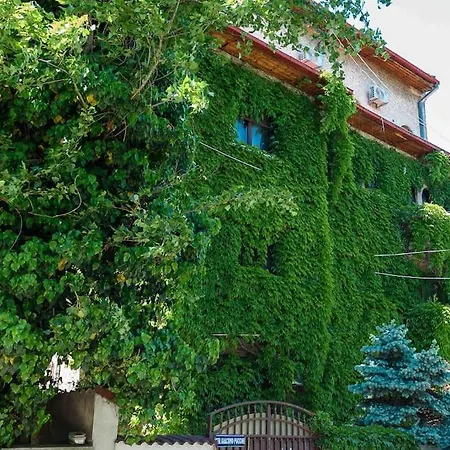 Loft Villa Floreasca-2